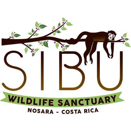 Amigos Of Costa Rica logo logo