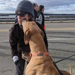 Diane Johnston's Avatar