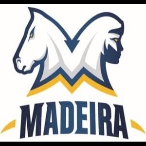 View Top Team - 'Madeira High School' team page using image