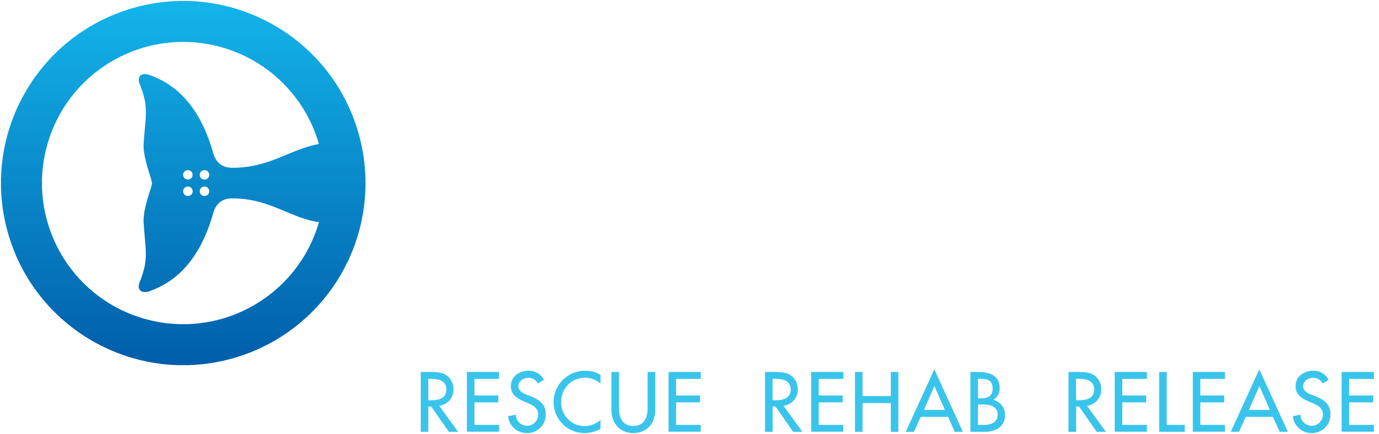 clear water marine aquarium