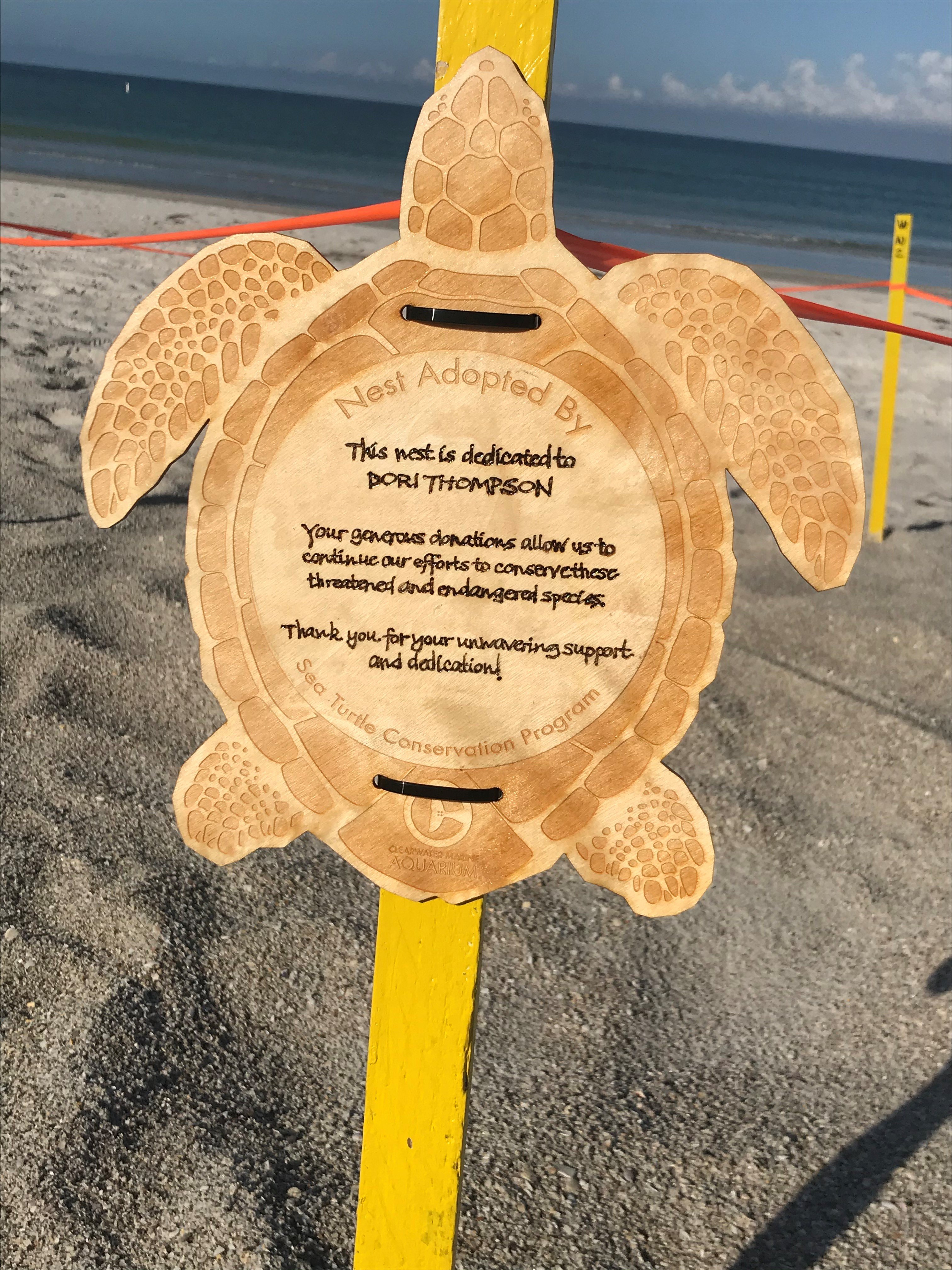 Sea Turtle Awareness Day 2021 Campaign