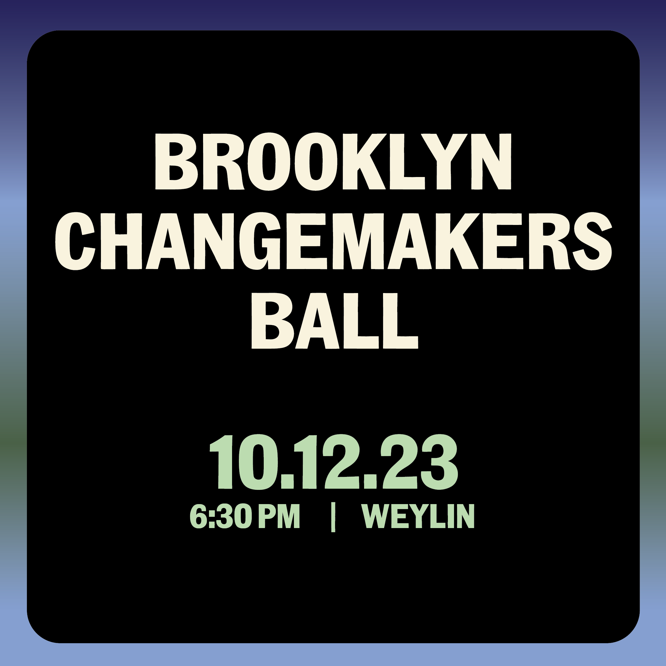 Brooklyn Changemakers Ball - Campaign