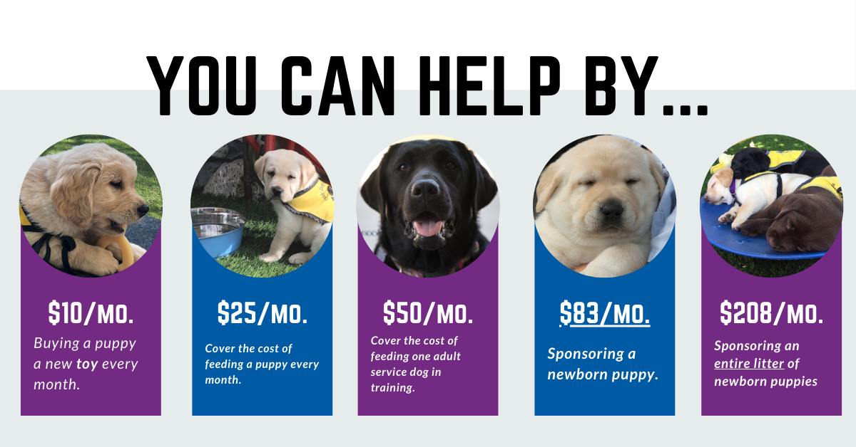 can you donate a dog to be a service dog