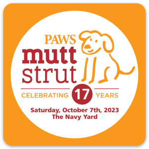 PAWS Mutt Mitts – PAWS