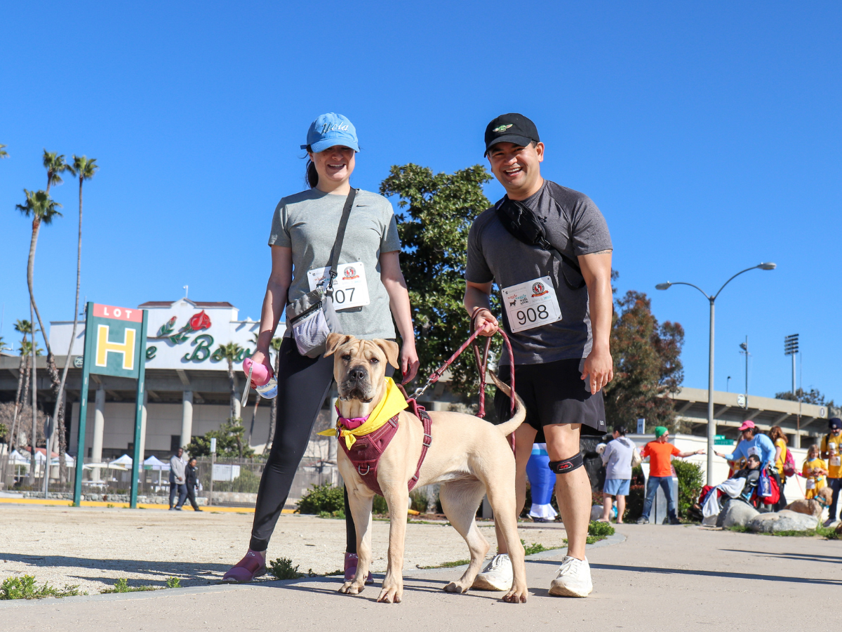 Wiggle Waggle Walk & Run 2024 Campaign