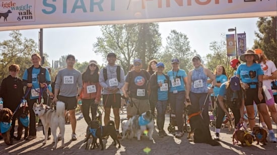 Wiggle Waggle Walk & Run 2025 - Campaign