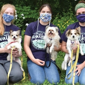 View Top Team - 'Compassion Crew' team page using image