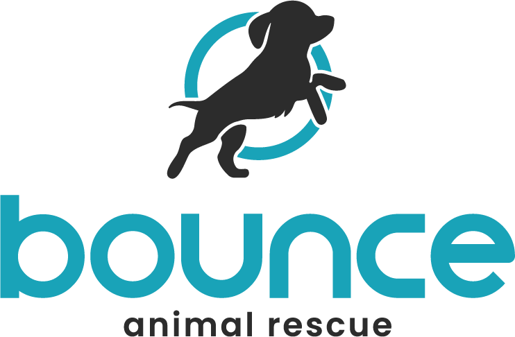 Bounce Animal Rescue logo logo