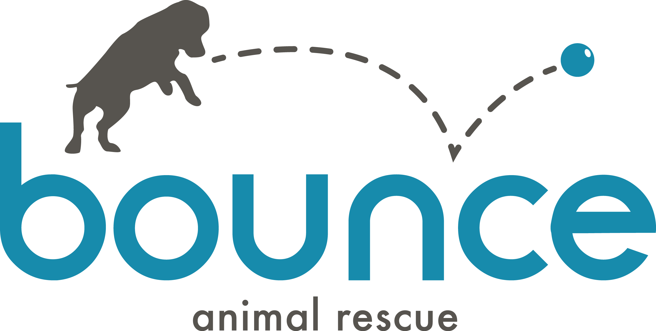 Go to the Bounce Giving Tuesday 2020 landing page