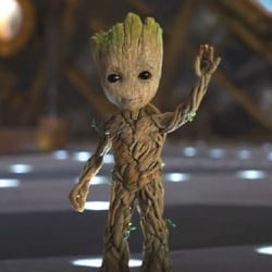 View Top Team - 'Team Groot!' team page using image