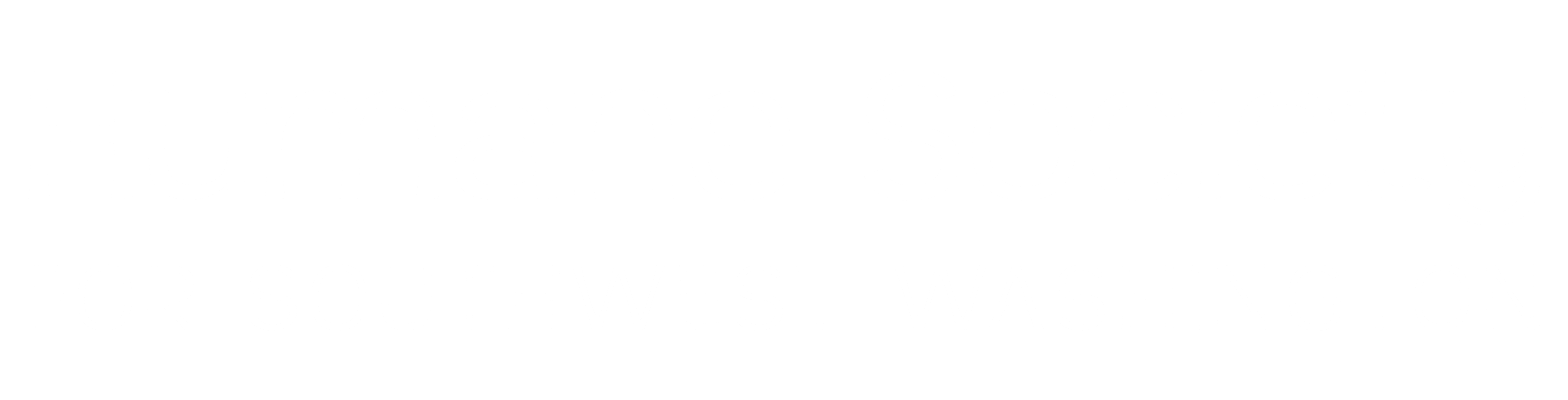 Go to the Hosting a Fundraiser on behalf of HSSW landing page