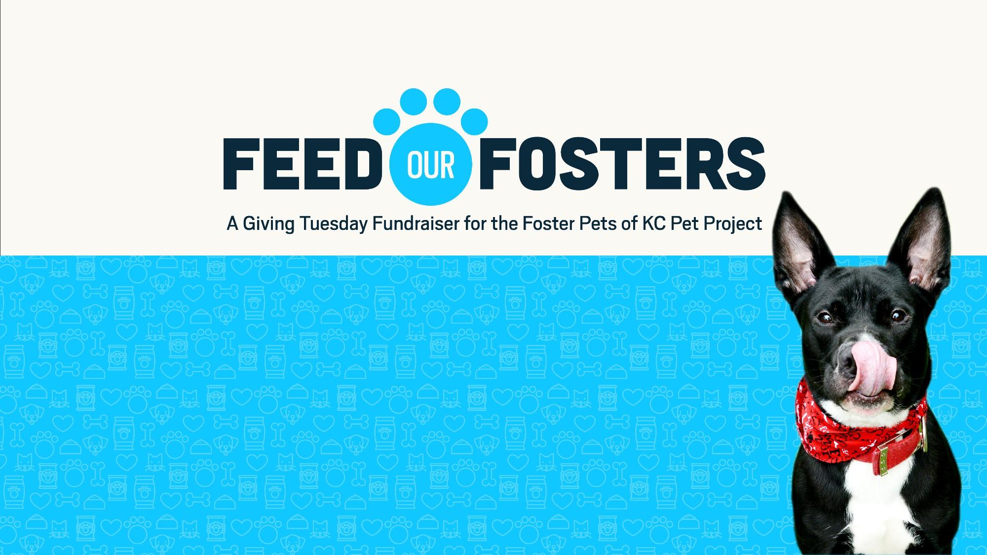 Feed Our Fosters Giving Tuesday 2020 Campaign