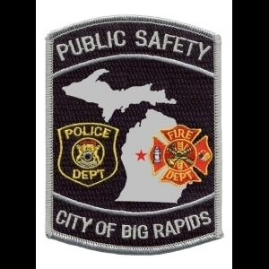 View Top Team - 'BR Police & Fire Unions' team page using image