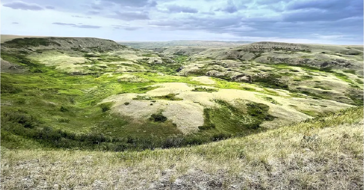 Conserve threatened grasslands and wetlands Campaign
