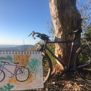 View Top Individual - 'Pacific Coast Bike' fundraiser page using image
