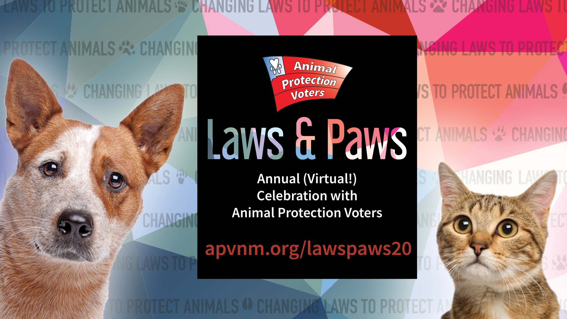 Laws & Paws Campaign