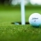 View campaign page - 2021 Annual Golf Tournament using image