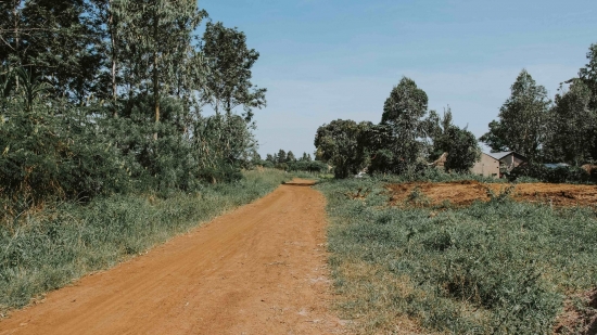 Beyond Uganda Giving Catalog - Campaign