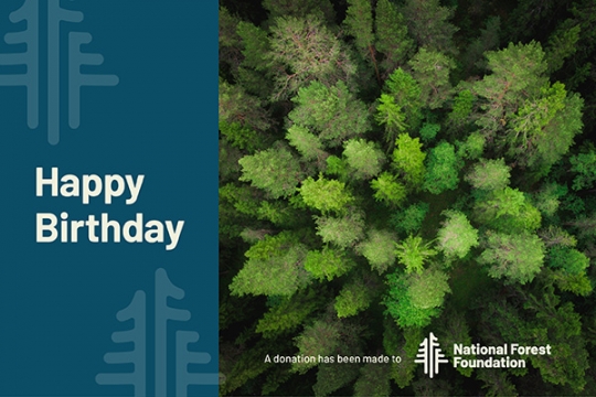 dedication message ecard 4