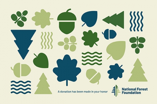 dedication message ecard 3