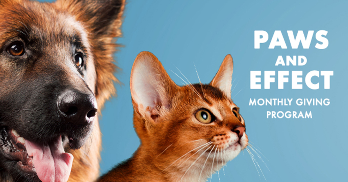 Paws and Effect Monthly Giving Program Campaign