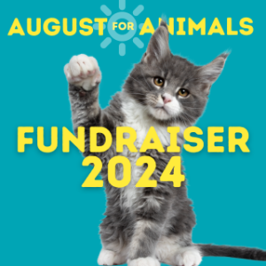 View Top Individual - 'Laura Kohl' fundraiser page using image