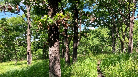 2023 Exploring Roots Summer Adventure Challenge - Campaign