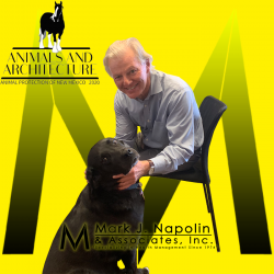 View Top Individual - 'Mark Napolin' fundraiser page using image
