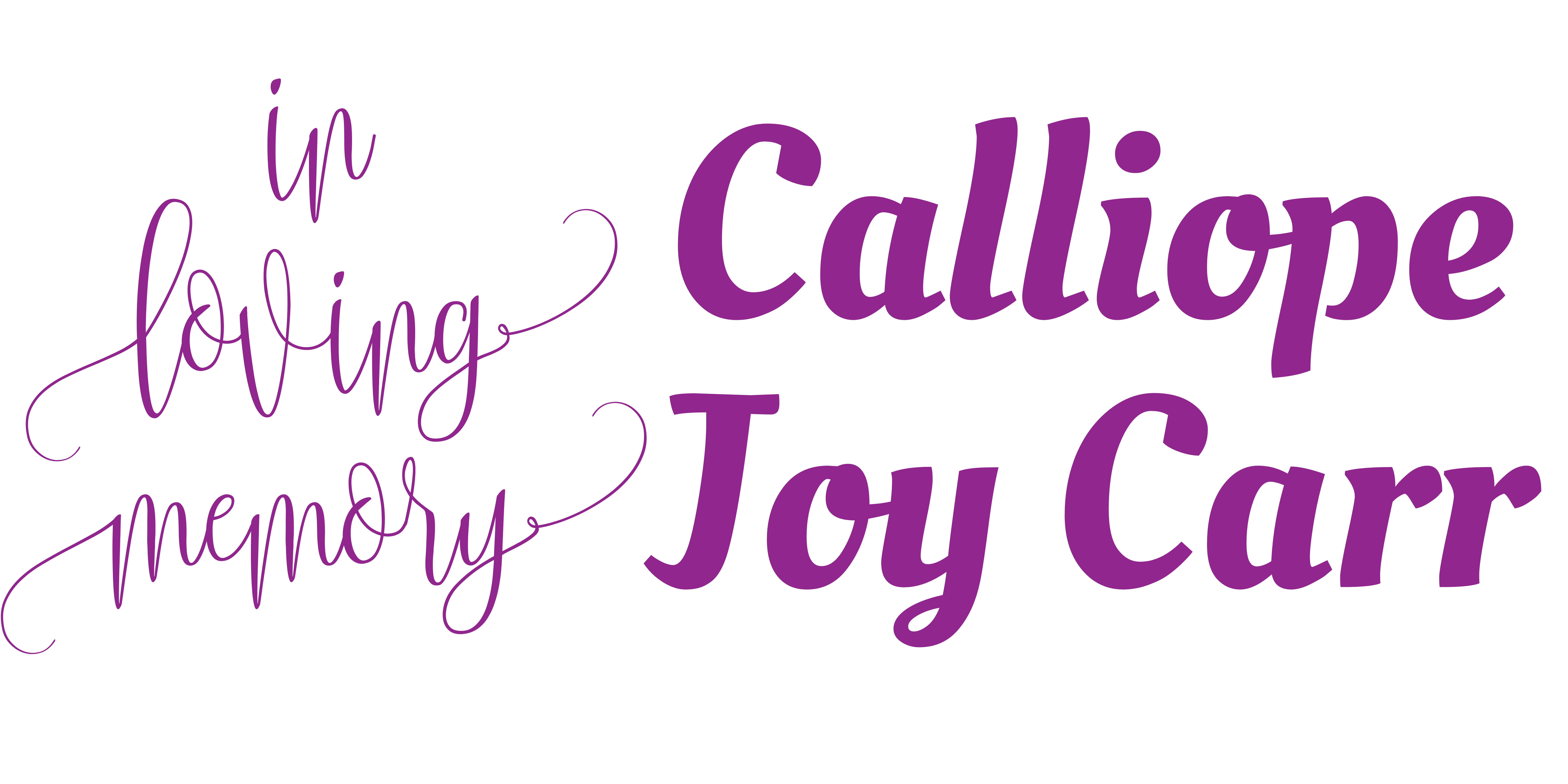Go to the In Memory of Calliope Joy landing page