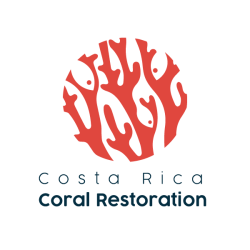 View Top Team - 'CostaRicaCoralRestoration' team page using image