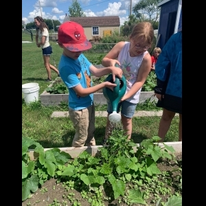 View Top Team - 'Swanton Recreation Community Garden' team page using image