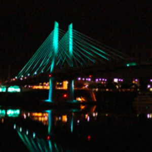 View Top Team - 'LE&RN Oregon Chapter' team page using image