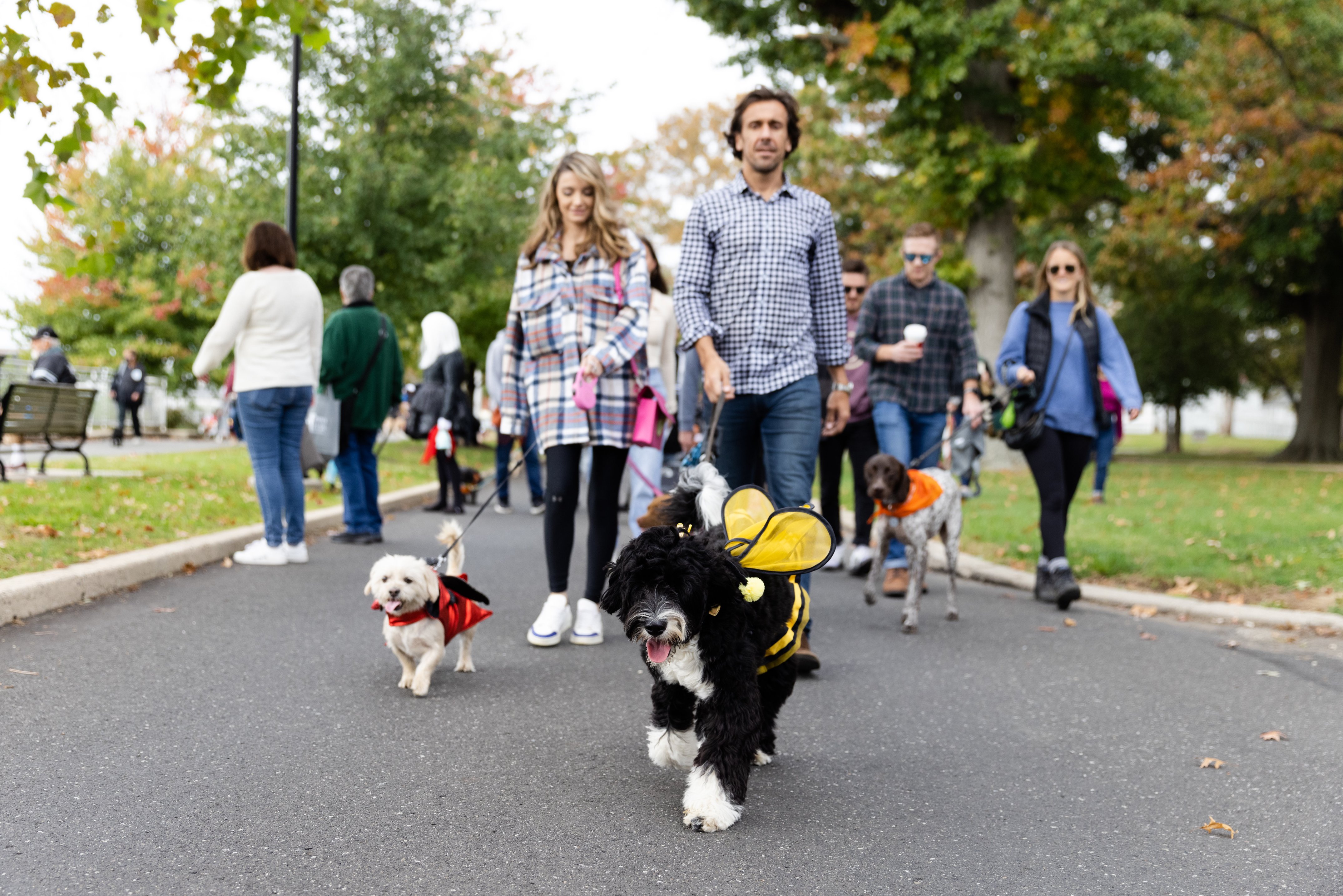 18th Annual PAWS Mutt Strut - Campaign