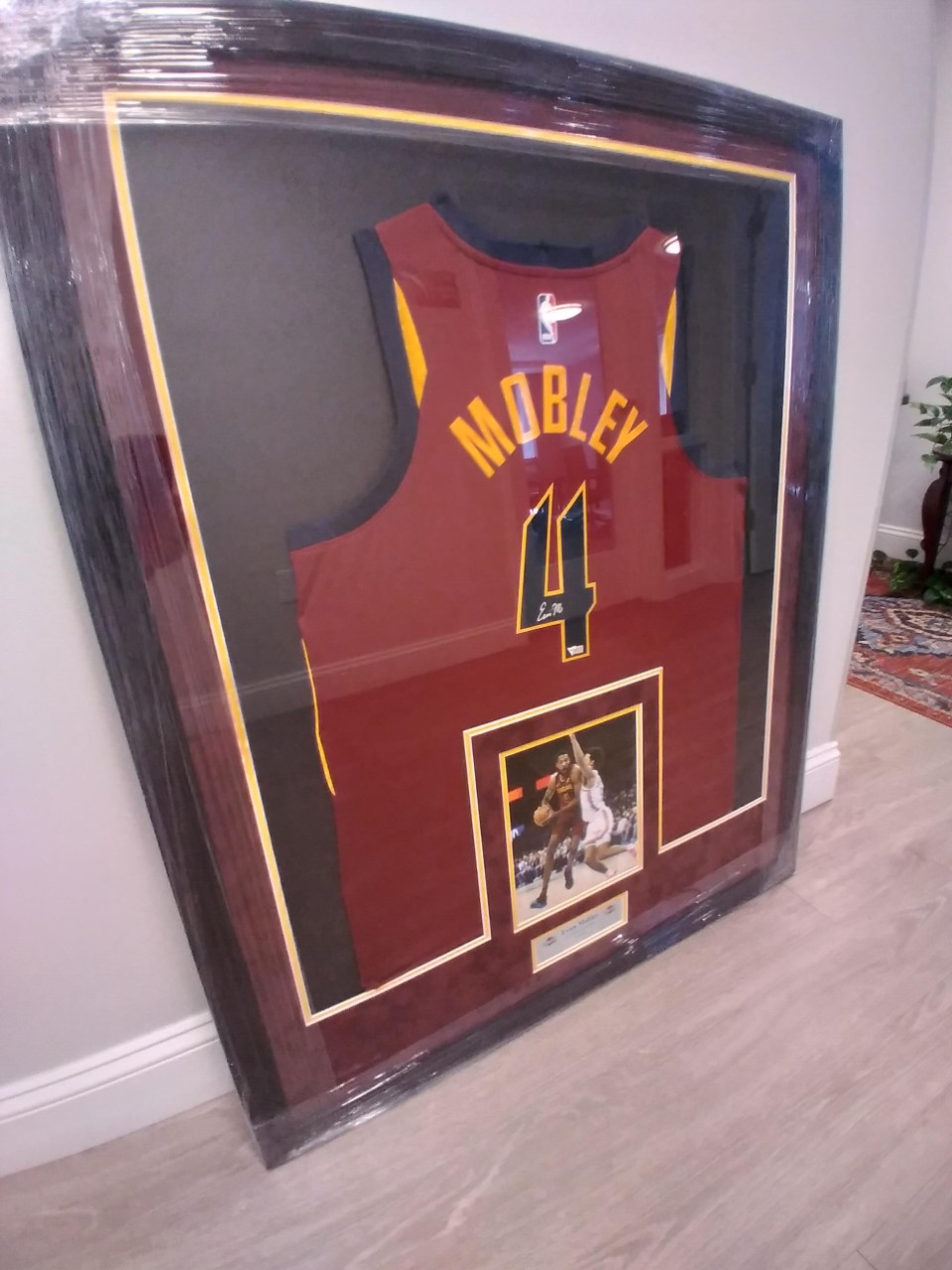 Front Steps CAVS Fever Exclusive Raffle Campaign