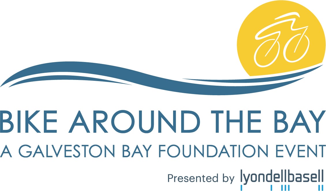 bike around the bay 2020