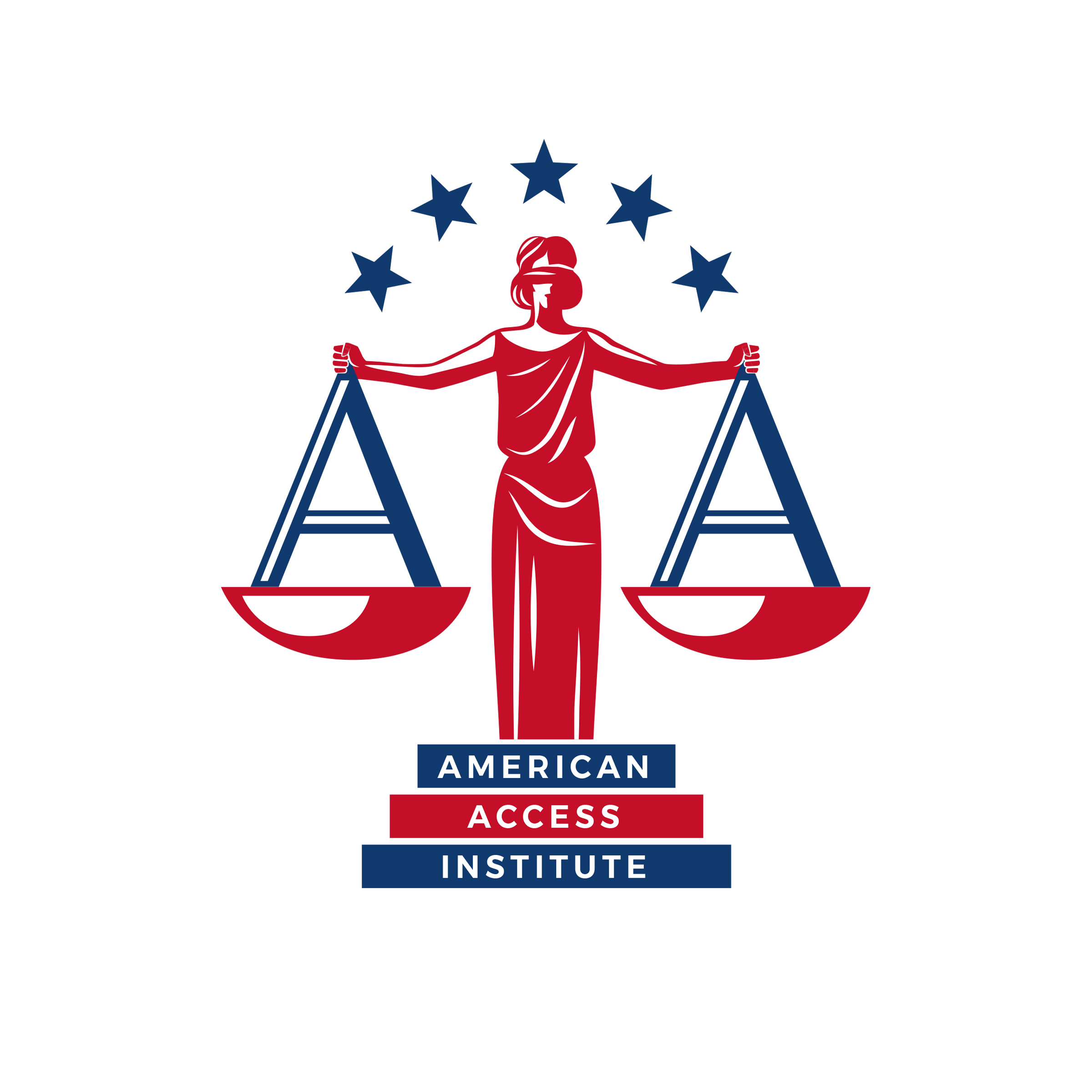 American Access Institute logo logo