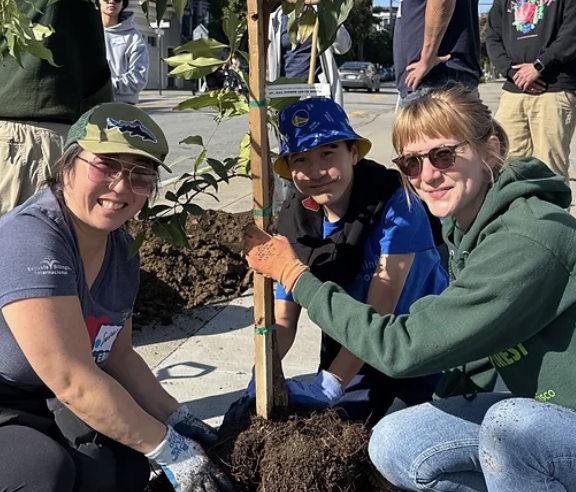 three volunteers planting a tree and smiling