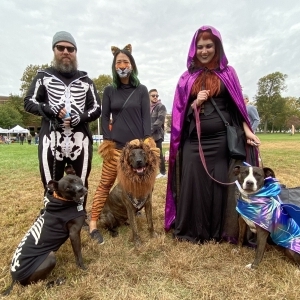 Mutt Strut: PAWS to host dog costume contest, fundraiser at Navy Yard