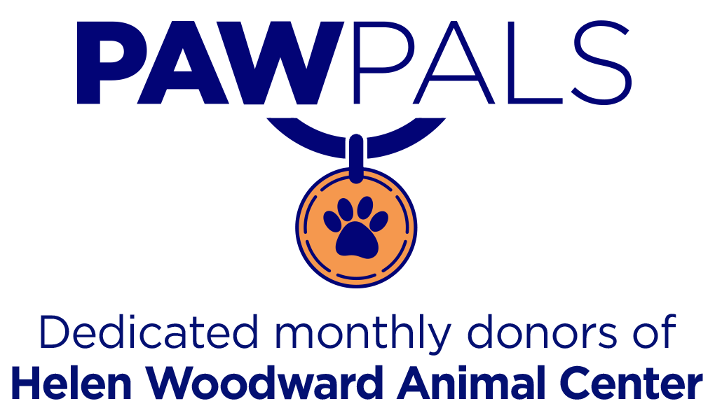 Paw Pals Recurring Giving Campaign