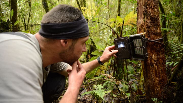 camera trap wildlife monitoring