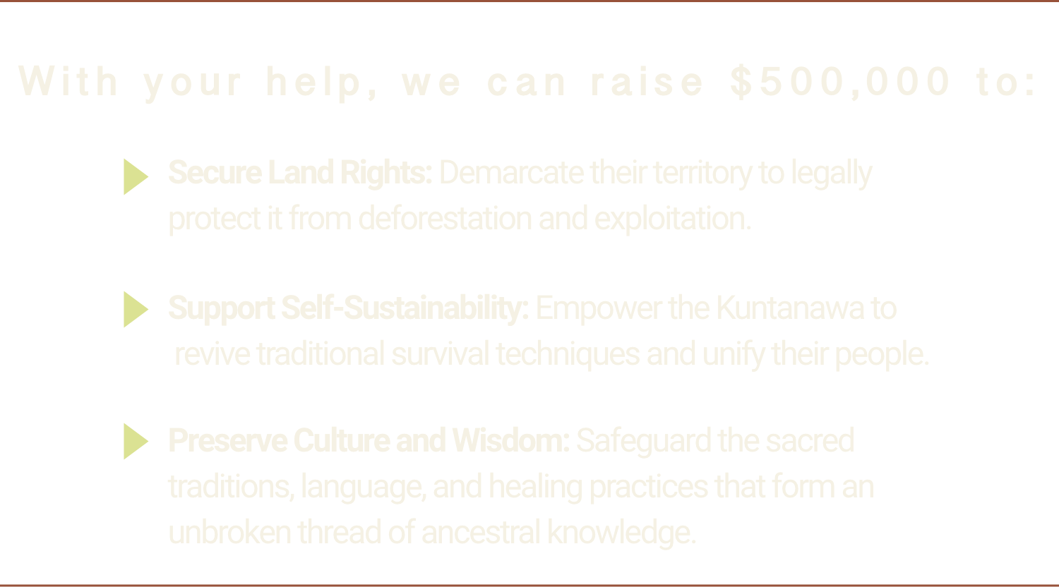 Donate Now - Desktop