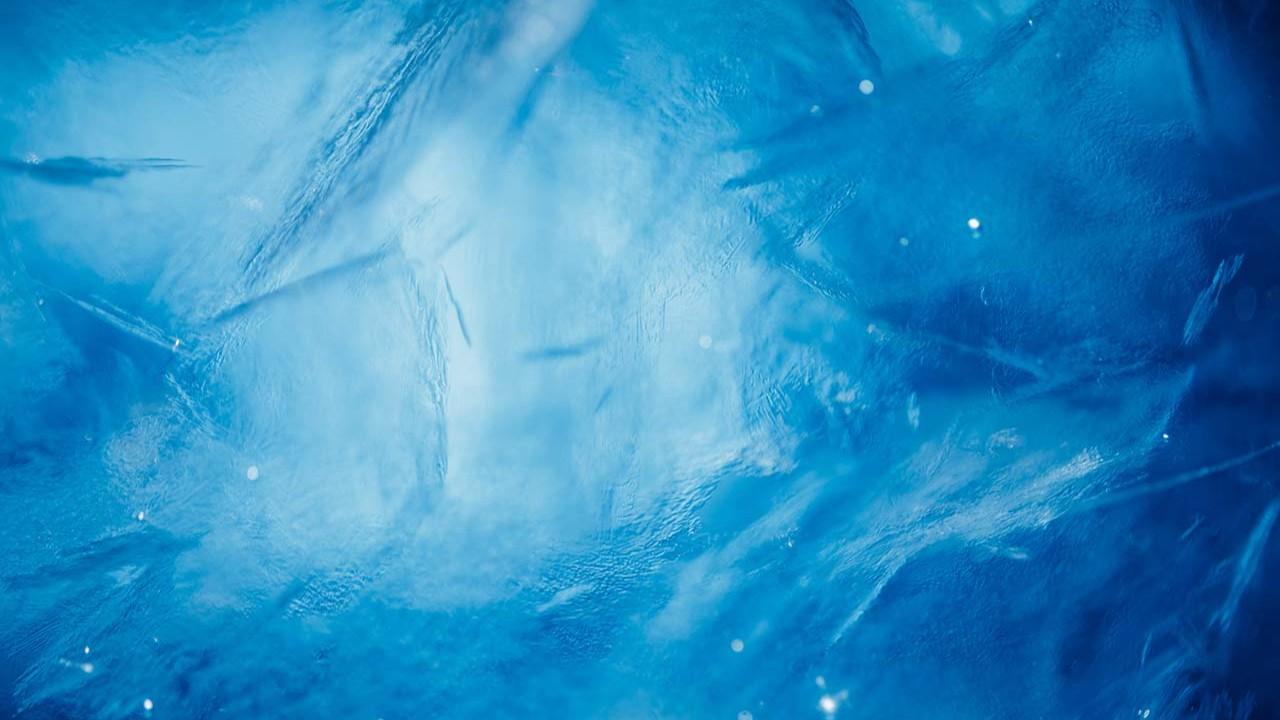 2024 Polar Fest Plunge - Campaign