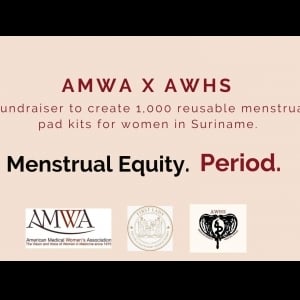 View Top Team - 'AMWA Suriname Menstural Equity' team page using image
