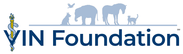 VIN Foundation logo logo