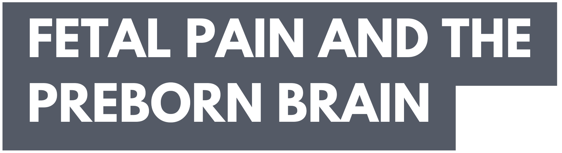 Dr. Furth Webinar Postcard - mjl (2)