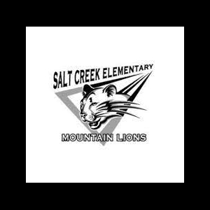 Salt Creek Elementary School's fundraising page for YMCA of San Diego ...