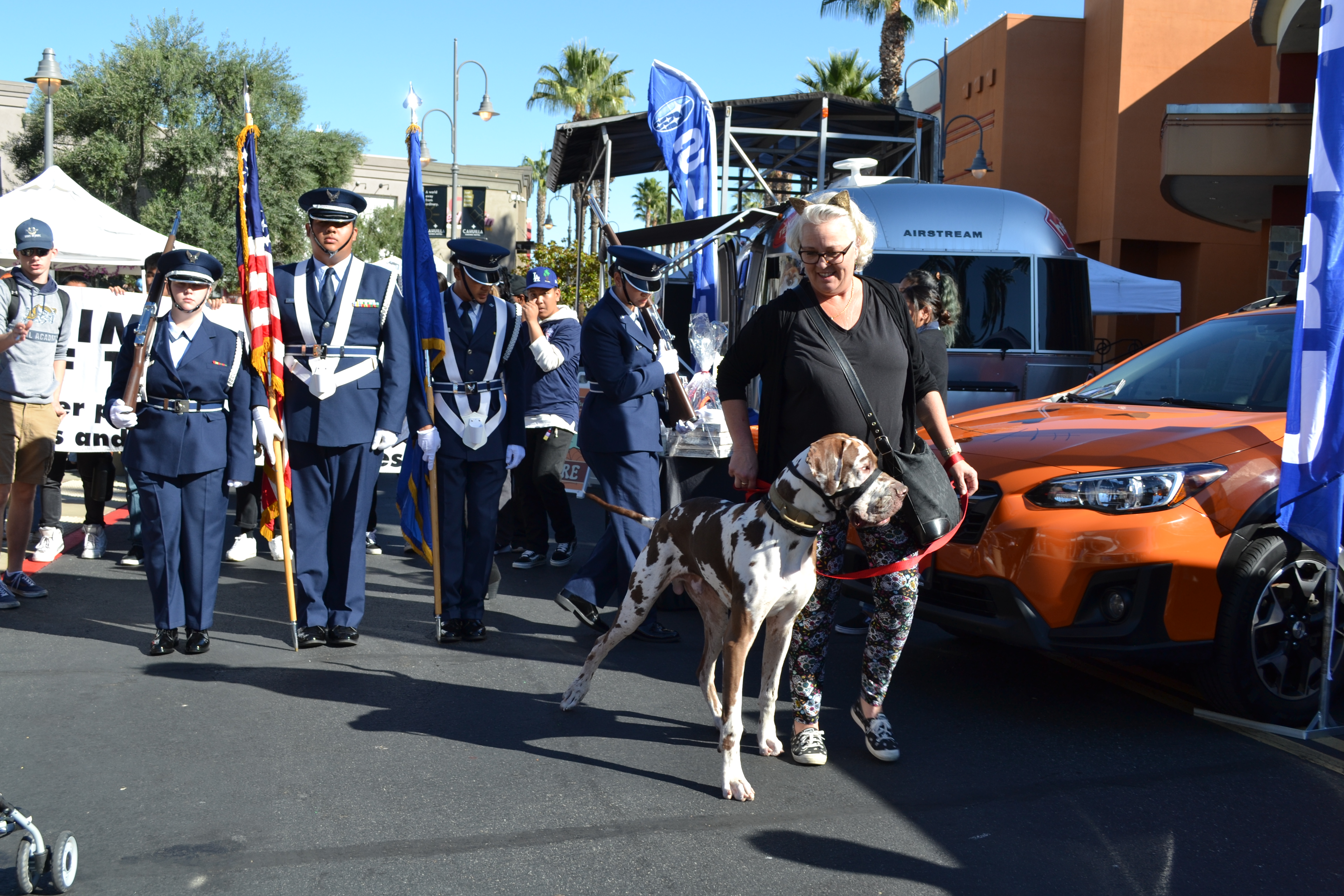 Promenade Pet Parade & Costume Contest