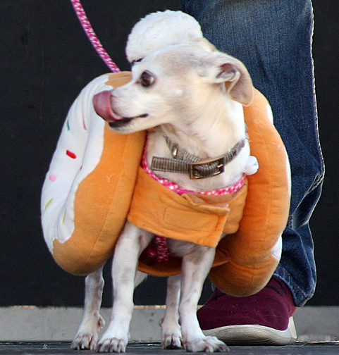 Spooktacular Halloween Dog Walk (Temecula)