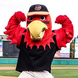 ROCHESTER RED WINGS MASCOT SPIKES SIGNED PHOTO