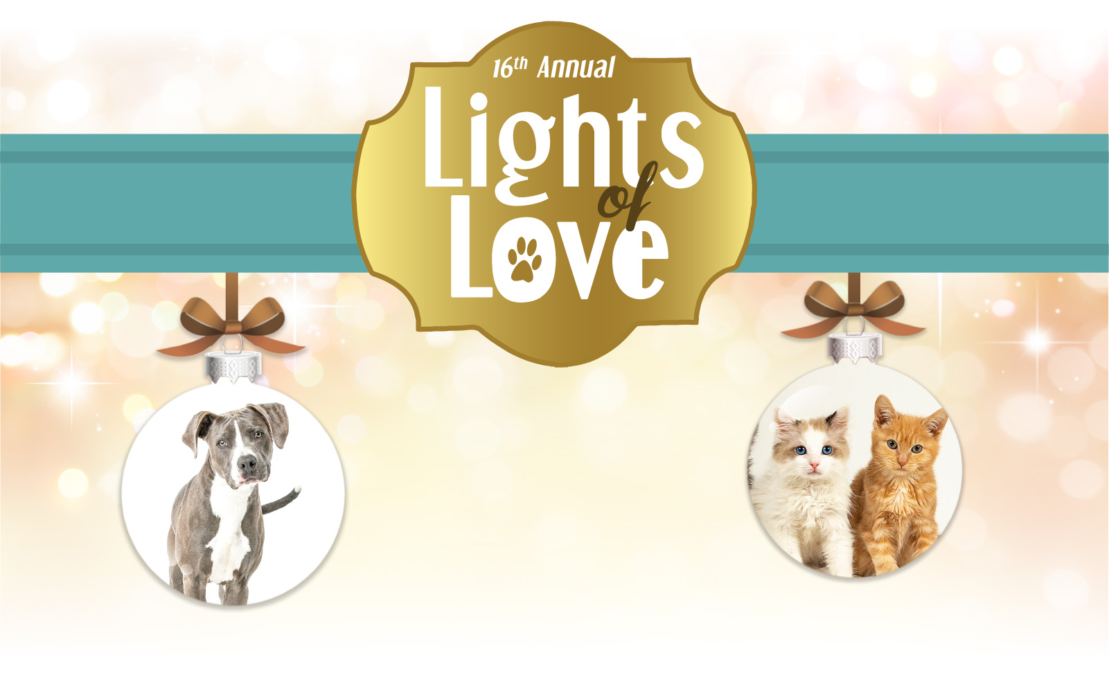 Donate to Lights of Love 2023